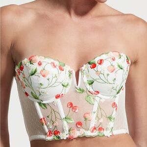 Victoria’s Secret Dream Angels Strawberry Embroidery Corset Top